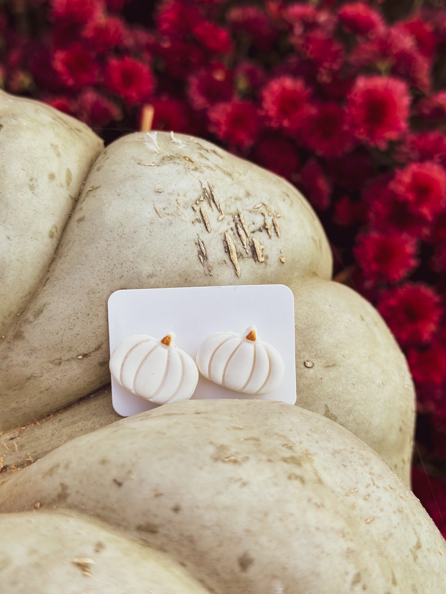 White Pumpkin Studs