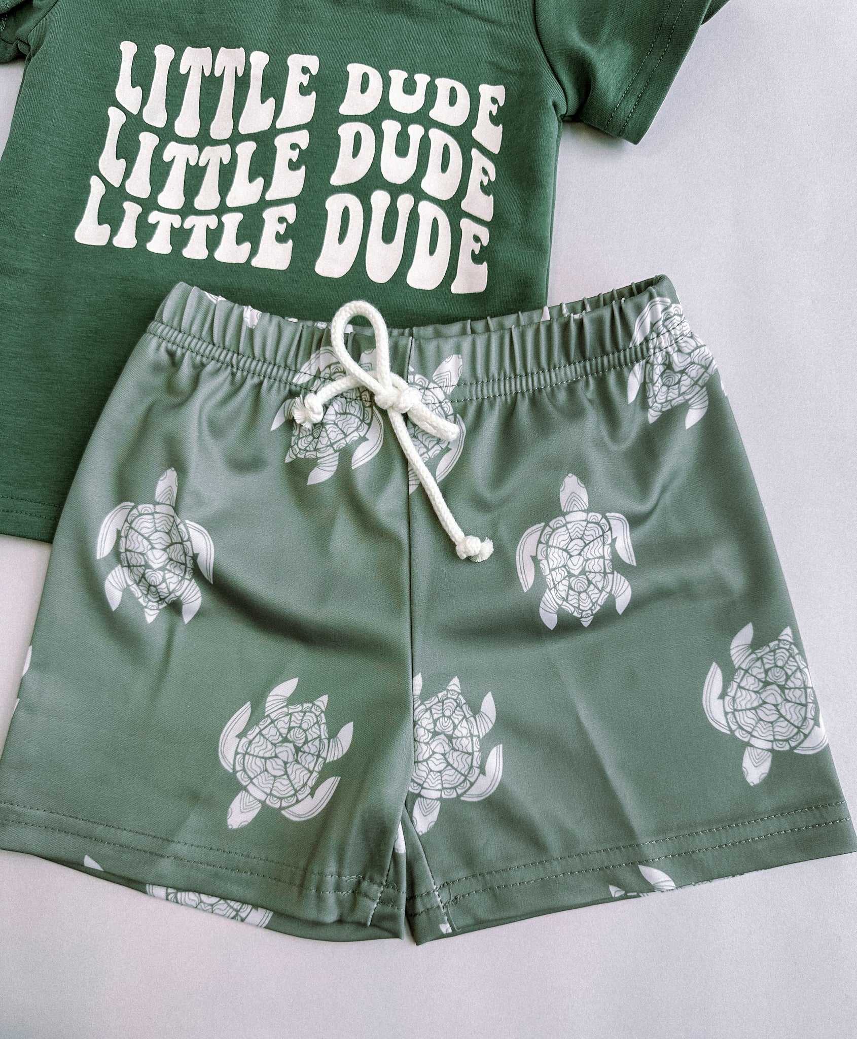 Sea Turtle Swim Trunks