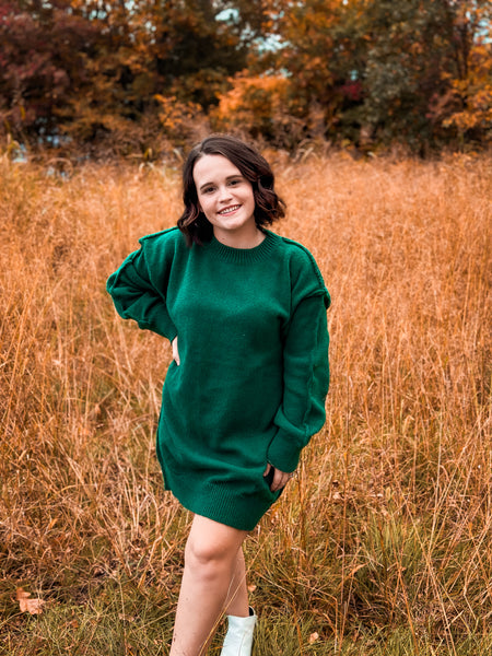 Woodsy sweater dress